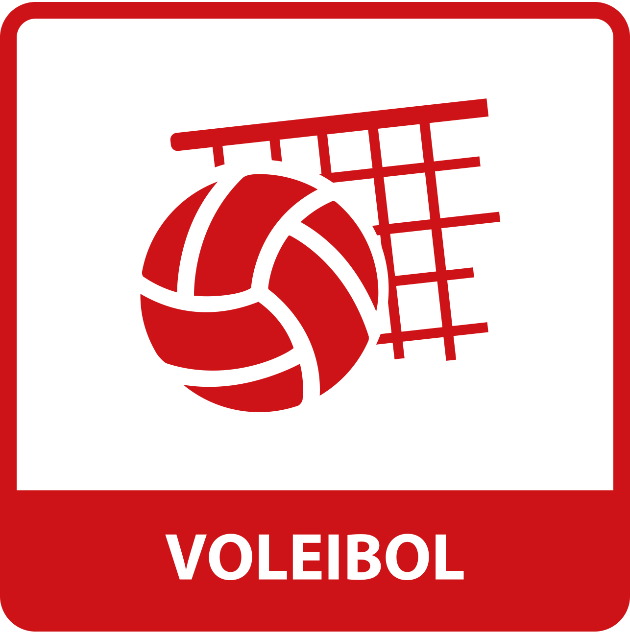 Voleibol